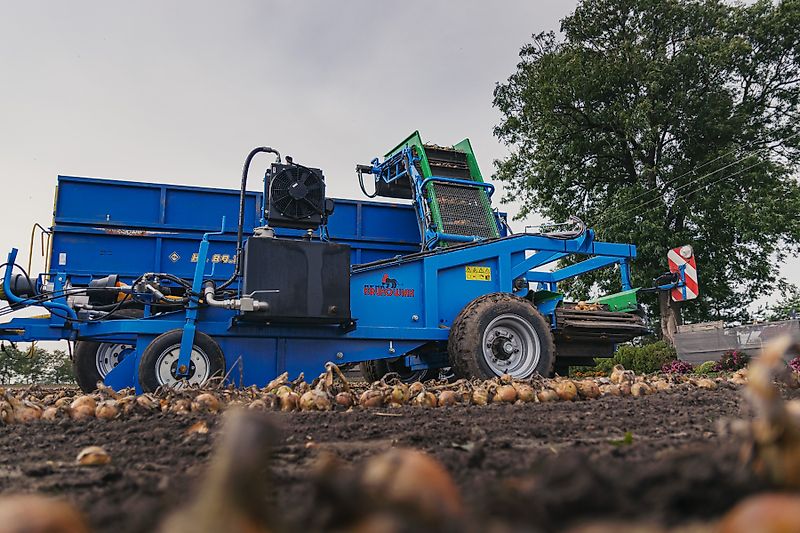 MD KR Zwiebelsammler Z437