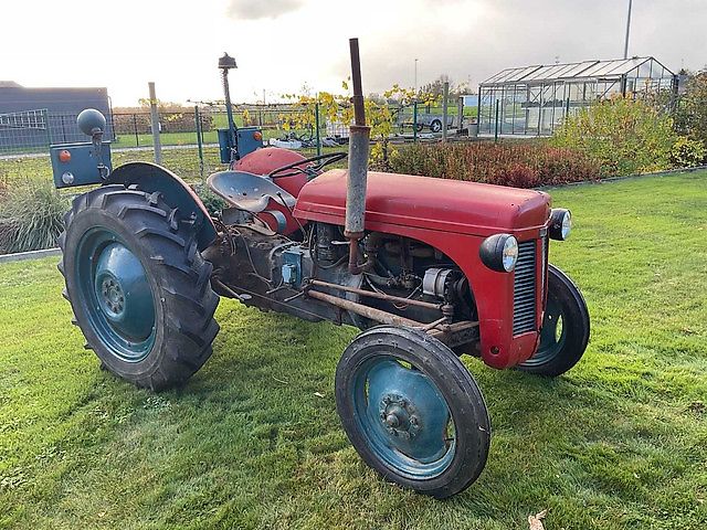 Massey Ferguson TE20