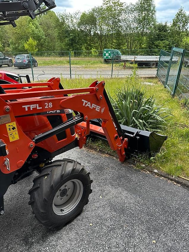 TAFE 6028 H mit Frontlader TFL 28