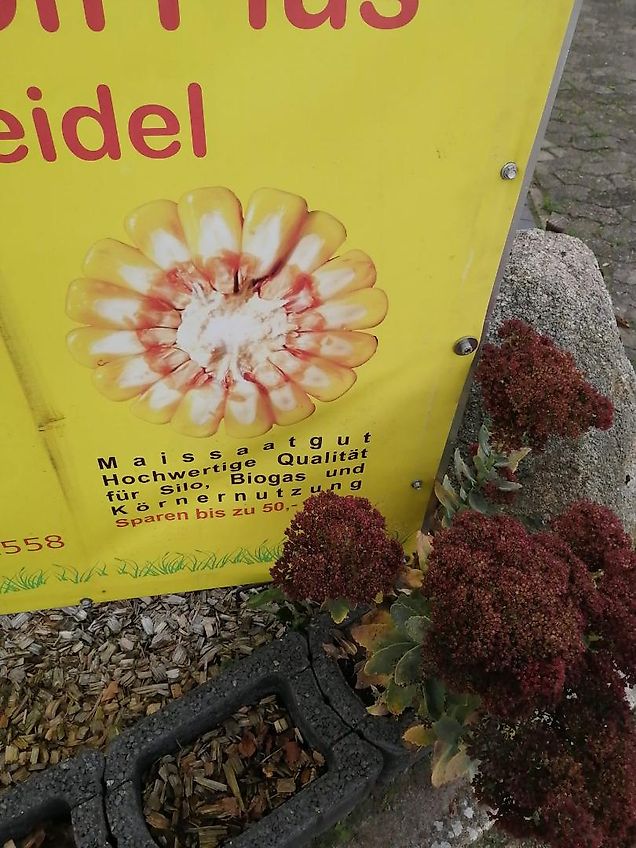 Amazone Kein Amazone TL Howard Kurzgrubber 2 Balkig 3m Arbeitsbreite Frontgrubber mit 6 Stilen (8) Heckgrubber mit Zapfwellendurchtrieb Güllegruber mit Doppelherzscharen als Frontgrubber