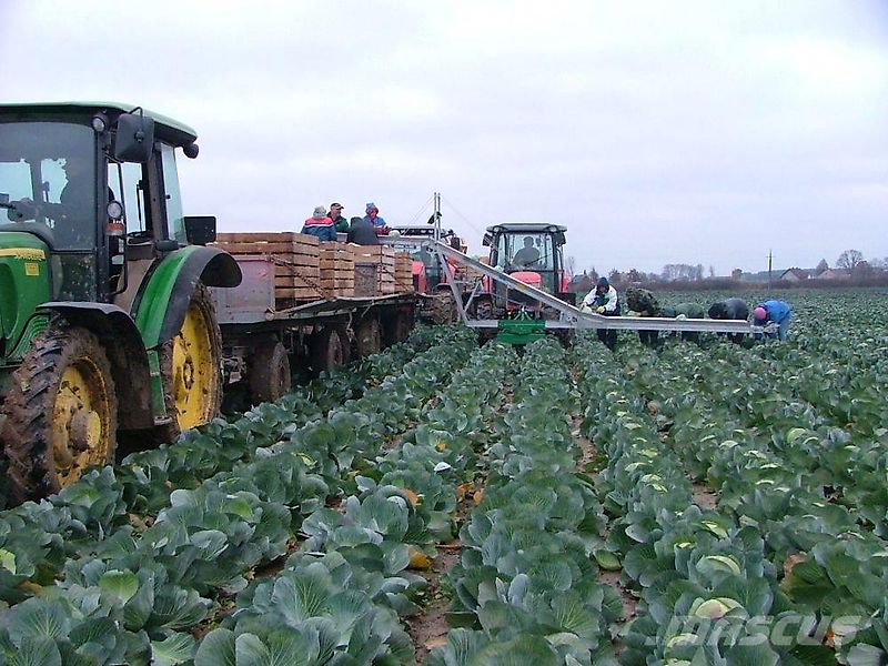 Luczak Kohl Förderband