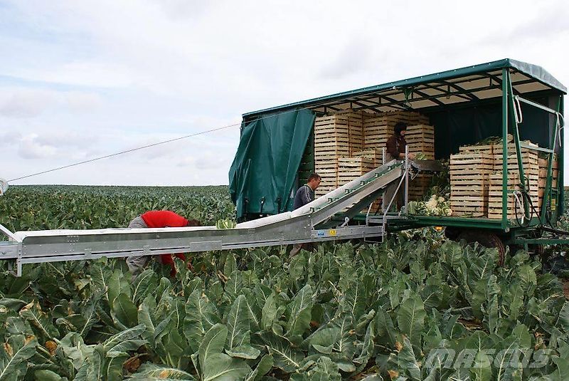 Luczak Kohl Förderband
