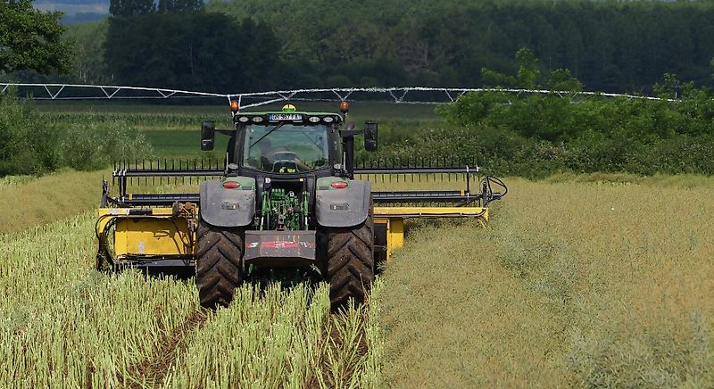 Honey Bee ST 36 - BANDSCHWADMÄHWERK