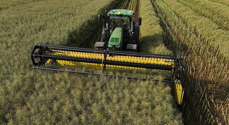 Honey Bee ST 36 - BANDSCHWADMÄHWERK