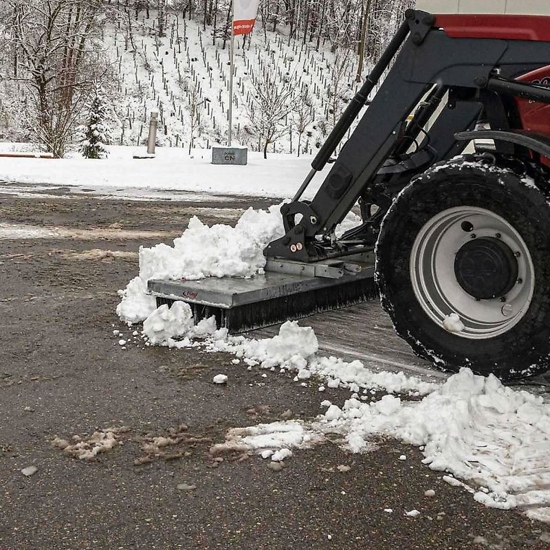 Fliegl Lion Sweeper 2000